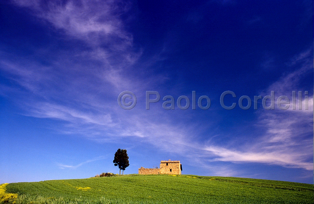 Hill, Tuscany, Italy
 (cod:Tuscany 22)